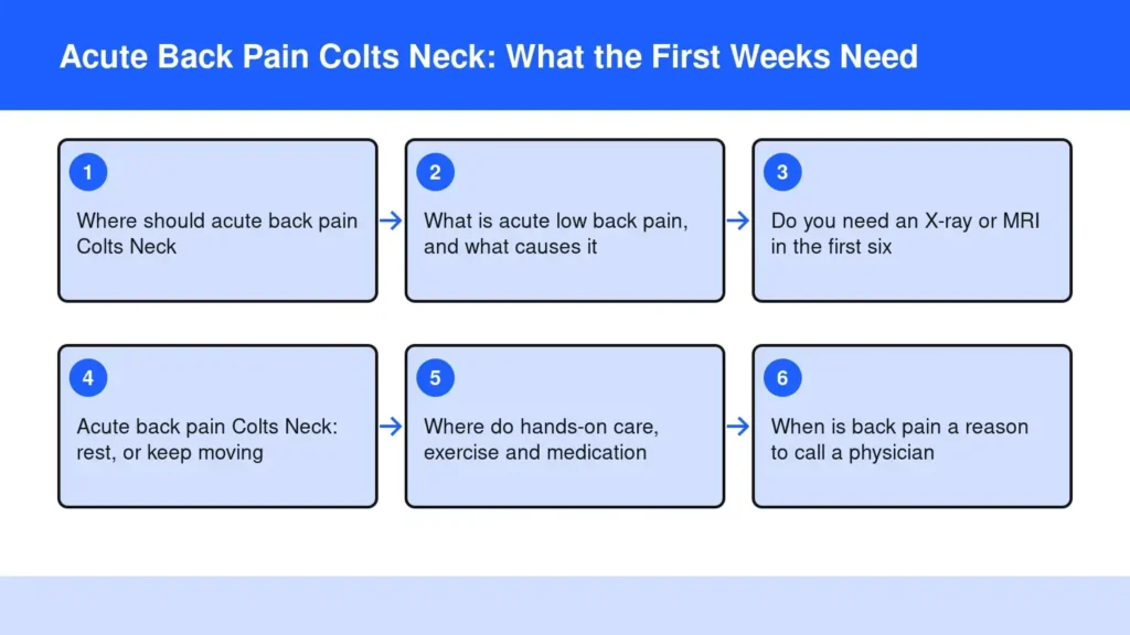 Diagram: Acute Back Pain Colts Neck: What the First Weeks Need — Where should acute back pain Colts Neck; What is acute low back pain, and what causes it; Do you need an X-ray or MRI in the first six; Acute back pain Colts Neck: rest, or keep moving;